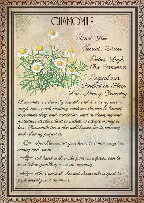 Magical herbalism anthology